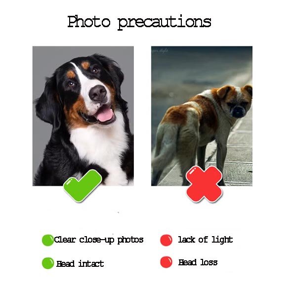Pet photo guidelines for custom ID tags showing clear close-up photos versus low-light or incomplete images