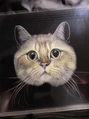 Custom Pet Acrylic Engraving Six-layer custom pet acrylic engraving with realistic 3D portrait, hand-painted details on clear organic glass