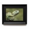 Custom Reptile Pet Leather Carving Wall Art – Handcrafted Animal Portrait Handcrafted custom leather carving artwork of a reptile pet, detailed scales engraved on genuine leather, framed wall art