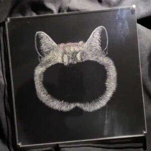 Initial fur direction engraving on a cat acrylic carving, with light hair texture added around the outline on a single acrylic panel