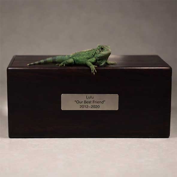 Personalized small North American Walnut urn with bespoke 3D resin modeling for unique pet memorial requests.