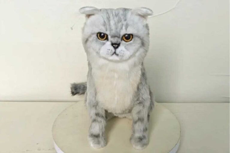 Example of a low-cost, squishy needle felted pet memorial showing potential structural sag and fiber shedding issues over time vs heirloom quality