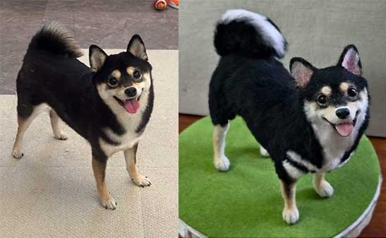 Pet portrait mid-process confirmation