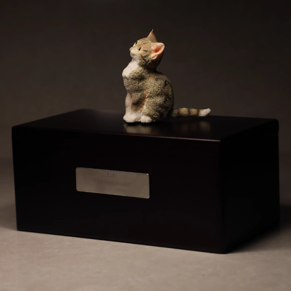 Small North American Walnut cat urn for ashes with a personalized 3D resin kitten figurine; compact memorial for indoor shelves.
