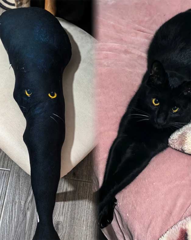Comparison of a failed black cat custom pet pillow showing lost detail in dark fur due to poor image processing vs professional adjustments.