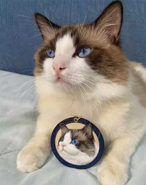 A sophisticated cat wearing a handcrafted leather custom pet gifts tag with a detailed artisan carving, showcasing a stylish and minimalist look for custom gifts for pet owners who value high-street grit.