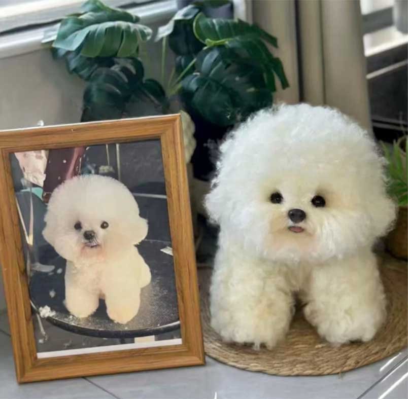 A lifelike needle felting dog sculpture placed in a sunny balcony corner with green plants and a pet portrait, showing the soft wool texture and realistic details.