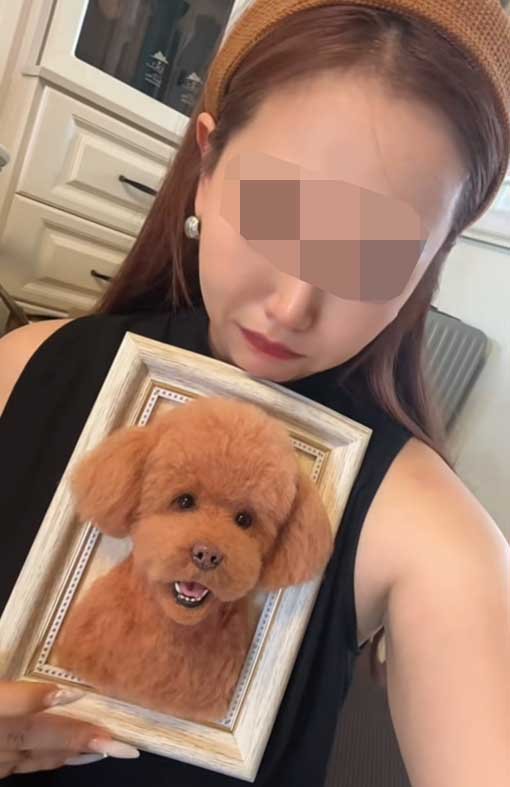 Handmade custom felt dog portrait from photo in Toronto Ontario Canada, wool felt dog plush frame pet of the month archive, real unboxing reaction April 2025