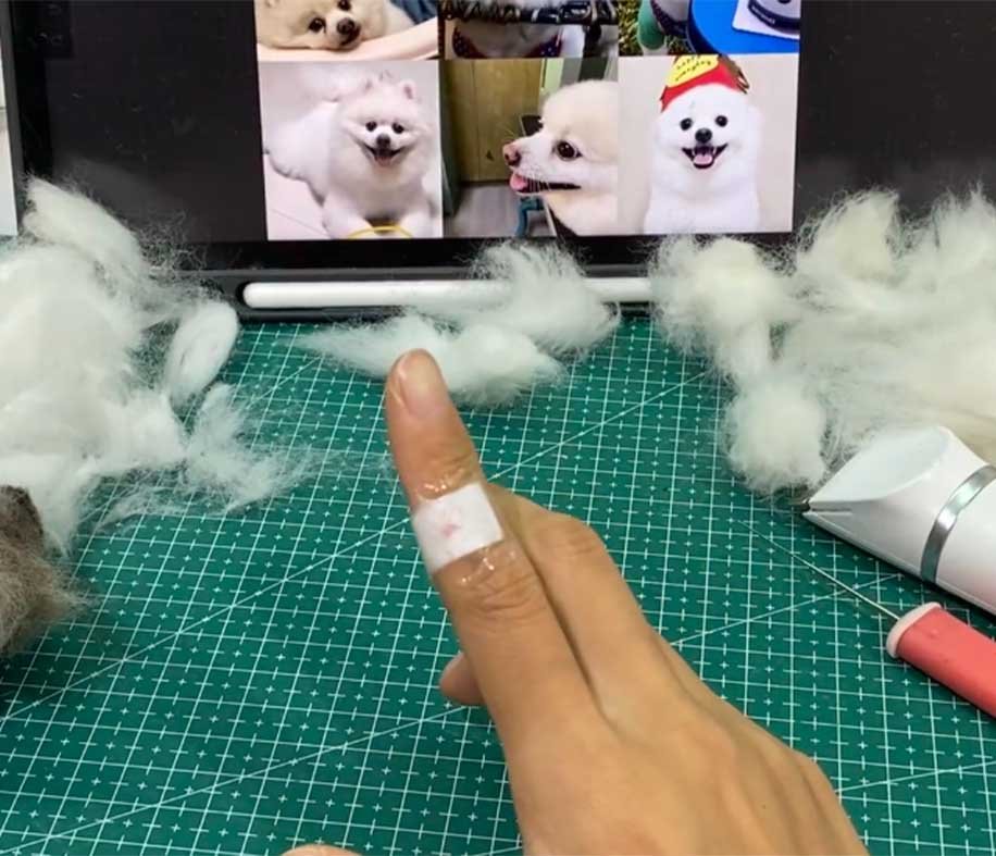 Needle felting process showing injured finger and reference photos of a white Pomeranian.