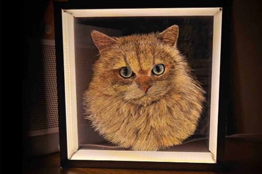Custom acrylic engraved cat portrait in a lighted frame, showing detailed fur textures and whiskers for a personalized cat mom gift.