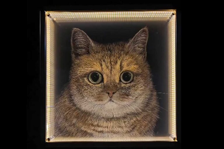 3D acrylic cat portrait with LED lighting, pet loss memorial art featuring light refraction and transparency to reduce emotional weight of grief.
