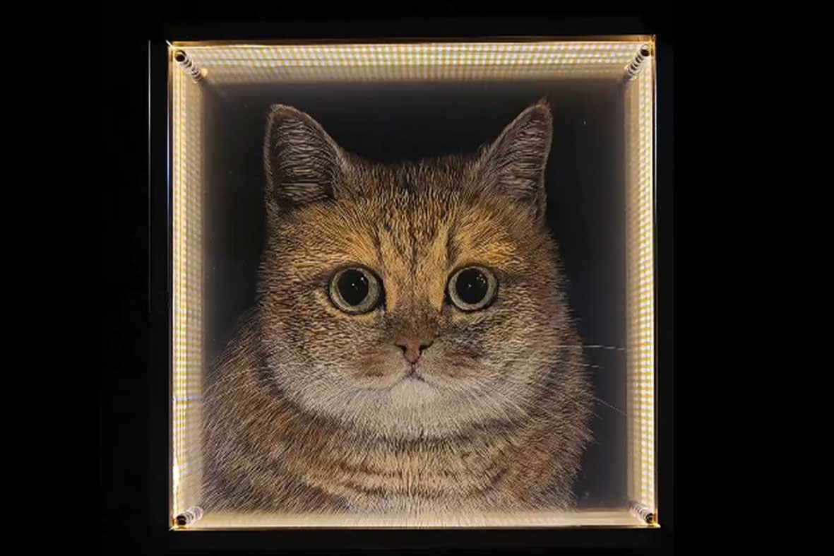 3D acrylic cat portrait with LED lighting, pet loss memorial art featuring light refraction and transparency to reduce emotional weight of grief.